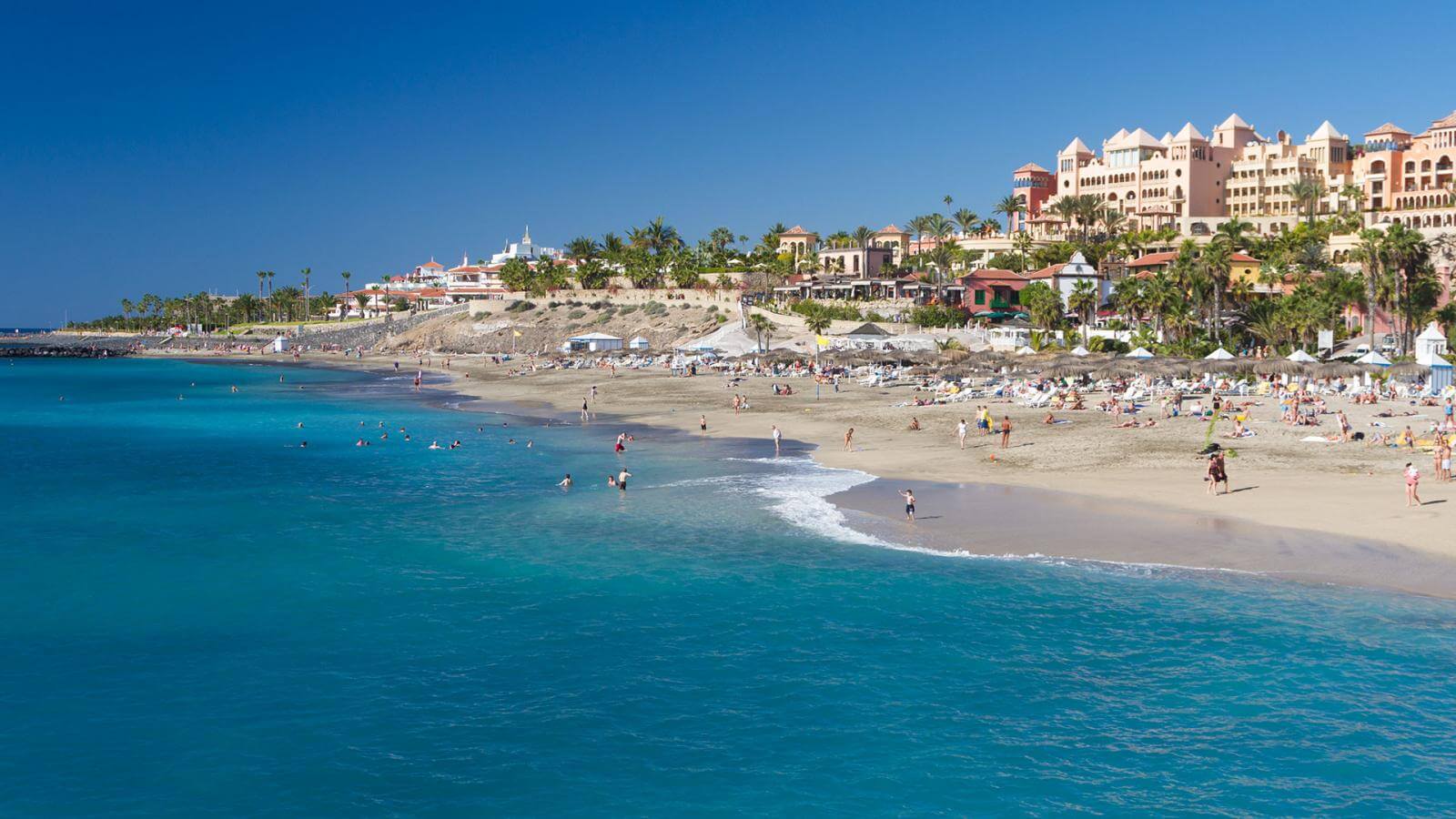 Discover the Best Beaches in Tenerife for Your Dream Vacation